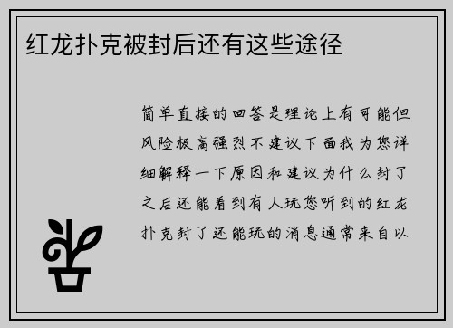 红龙扑克被封后还有这些途径